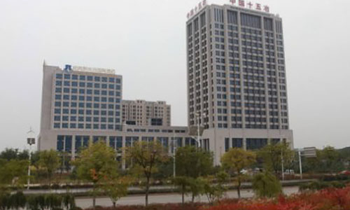武漢市十五冶金通物質設備有限公司(出口於肯尼亞、坦桑尼亞、剛果)
